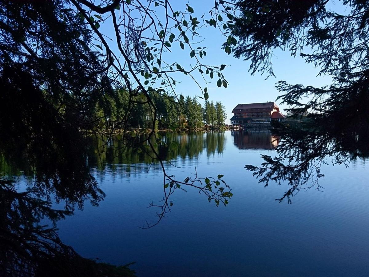 Fewo Vogesenblick Daire Lauf Dış mekan fotoğraf